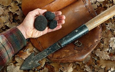Las trufas negras silvestres