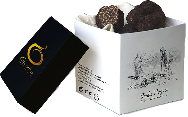 Comprar trufa negra de Teruel