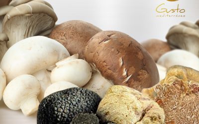 Setas y Trufas: Tesoros de la naturaleza