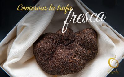 Cómo Almacenar y Conservar la Trufa Fresca